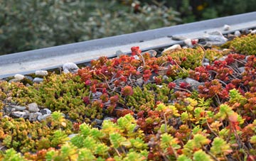 the cost of Knapp Hill green roof installation