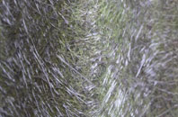 Knapp Hill fibreglass roof work